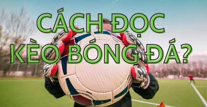 Cách đọc kèo bóng đá cơ bản dành cho người mới tại Sunwin 2 Người chơi cần nắm chắc cách đọc kèo bóng đá trước khi đặt cược