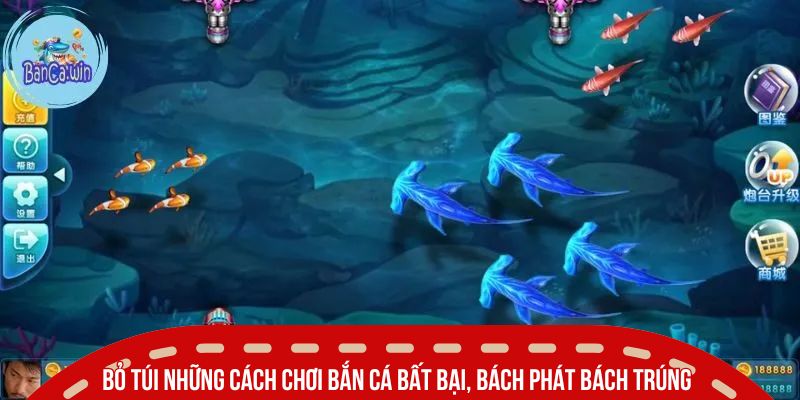 Cách Chơi Bắn Cá SUNWIN Hiệu Quả Giúp Ăn Đậm Mỗi Ngày 4 Bỏ túi những cách chơi bắn cá bất bại, bách phát bách trúng